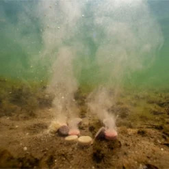 Ultimate Baits Up & Down Tablets 300gr. 9mm. Hi Proteine