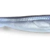 Fatnose Shad 23cm - Coregonus -Vangst Pro Verkoop 1b8aebaa3d54340d