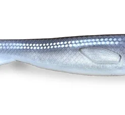 Fatnose Shad 23cm - Coregonus