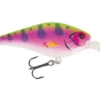 Jackson Barschwobbler Rainbow Trout 6cm (9g) 1 Jackson Barschwobbler Rainbow Trout 6cm (9g) -Vangst Pro Verkoop 21b074283177124e