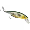 Strike King KVD Jerkbait 200 11,5cm 10,5gr Hook Phantom Perch -Vangst Pro Verkoop 3ed587d83c027e7c
