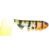 Hostagevalley Shad 26cm (162g) Red Head Perch -Vangst Pro Verkoop 42640ecb480024ce