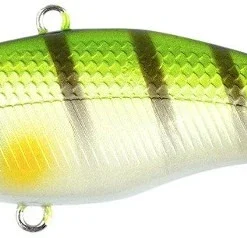 Darts Shake Xpress 65mm-810 Striped Bass