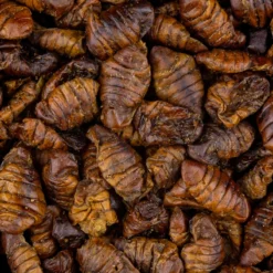 Vivani Gedroogde Zijderupsen - 750 Gram -Vangst Pro Verkoop 4a1860c9e3325b4f