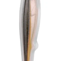 Spro Iris Popeye Shad Baitfish (23cm) -Vangst Pro Verkoop 516ee3e0c4a370c9 scaled
