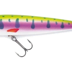 Jackson Minnow Pop Rainbow Trout