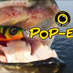 Spro Iris Popeye Shad Baitfish (23cm) -Vangst Pro Verkoop 7ce7ee32e46737d2