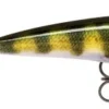 Rapala X-Rap 8cm Live Perch -Vangst Pro Verkoop 81f71308fb24c3ba