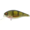 River2Sea Biggie 57 BR Crankbait Real Perch -Vangst Pro Verkoop 8ea4856919b2aaa7