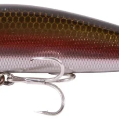 Seika Sidewinder ''5''