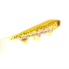 Hostagevalley Shad 18cm (55g) Golden Trout -Vangst Pro Verkoop a80d2e29fadc6168 scaled