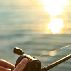 Ultimate Jerkstar 151 Black Edition -Vangst Pro Verkoop aa3b9473ace10439