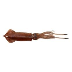 Savage Gear 3D TPE Swim Squid 12,5cm 25gr Brown Eye UV