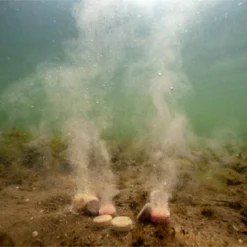 Vangst Pro Verkoop 15 Winter Carp Bait Pack