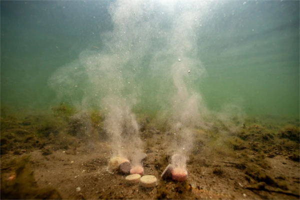 Winter Carp Bait Pack 3 Winter Carp Bait Pack