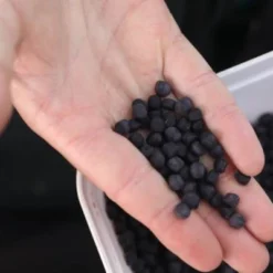 Fjuka 2in1 10mm Black -Vangst Pro Verkoop f97c9debf3824049